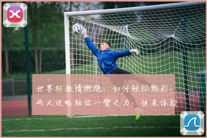 世界杯激情燃烧，如何轻松购彩，两大攻略助你一臂之力，快来体验